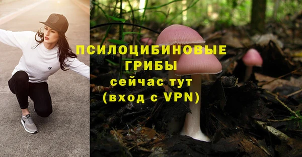 прущие крисы Остров