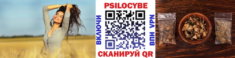 Купить где  Карпинск  Псилоцибиновые грибы Psilocybine cubensis 